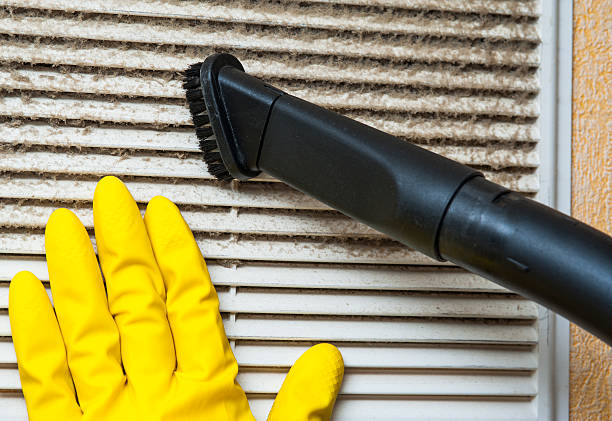 Best Air Duct Sanitizing Services  in Mccordsville, IN